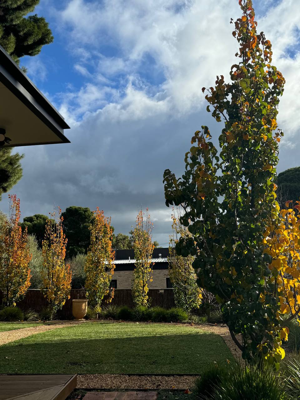Well-maintained garden in autumn